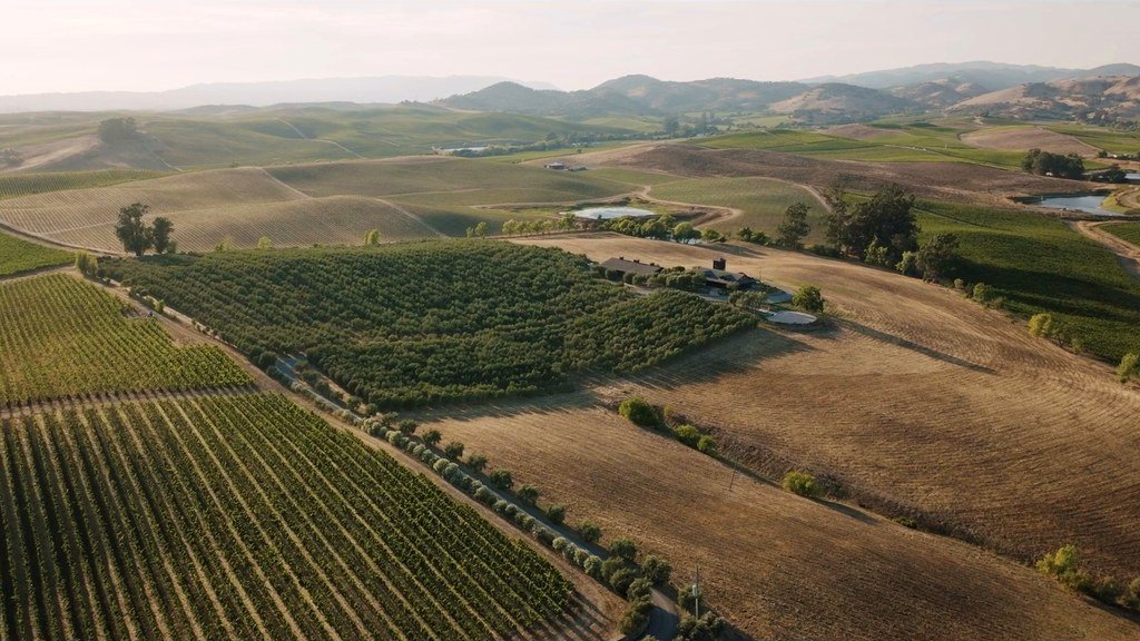 Bouchaine Vineyards